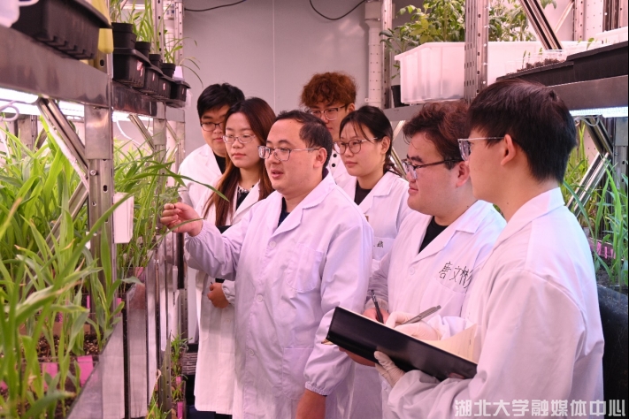 突破生物基材料新紀元 湖北大學獲國家重點研發計劃2386萬元資助